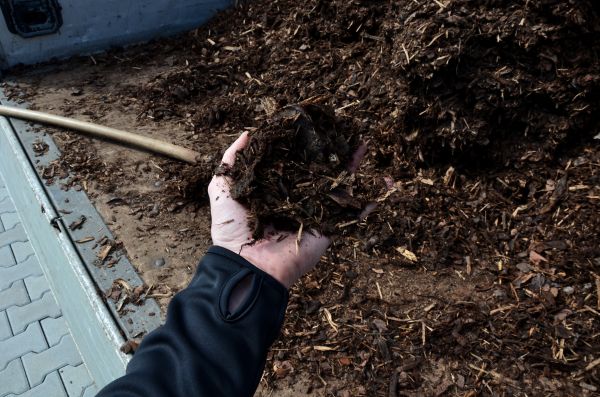 Condo Mulching in Yorba Linda