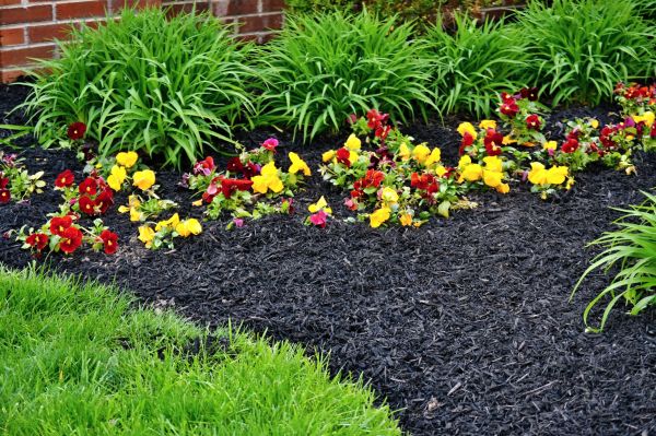 Apartment Mulching in Yorba Linda