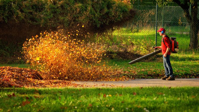 Leaf Blowing Strategies
