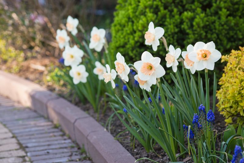 Lawn Border Installation