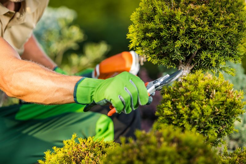 Seasonal Landscaping Tasks